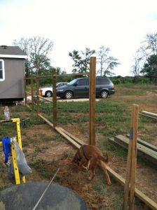 Building fence Image